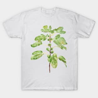 watercolor,nature,fruit,summer color,aquarelle,colorandcolor,color and color,fig,green,summer,sweet,aesthetic,branch T-Shirt